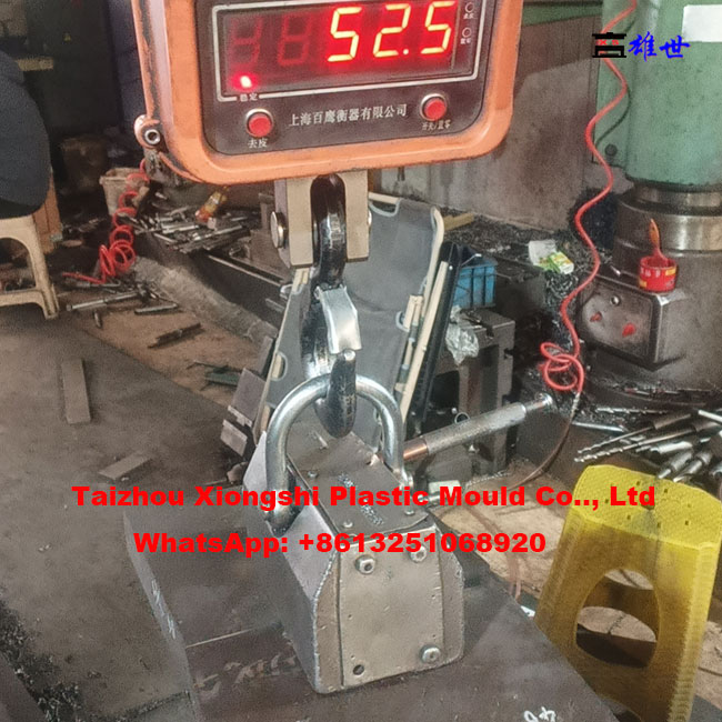 pet carrier mould