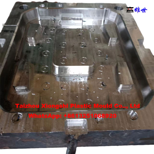 pet carrier mould