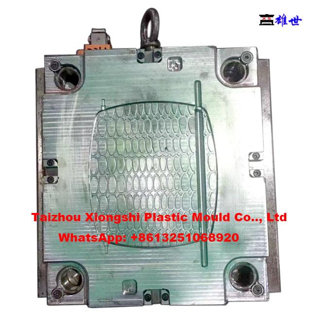 pet carrier mould