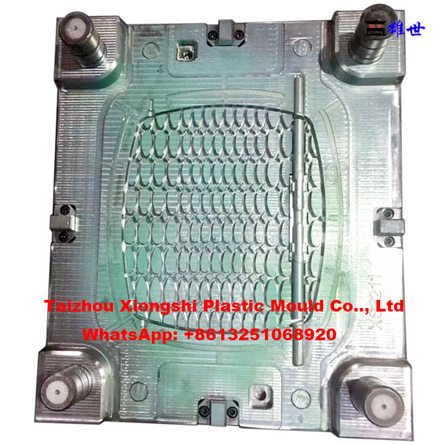 pet carrier mould